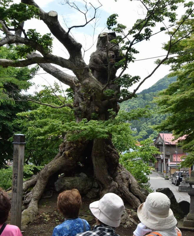 A_戦前民俗文化伝統芸能写真資料/青森県黒石市温湯地区神社/盆踊り