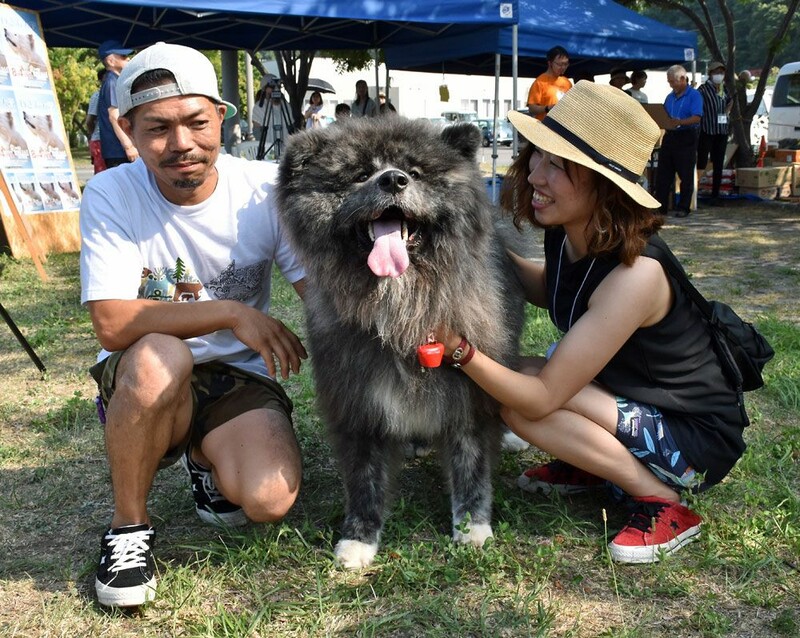 さ お つばき わ