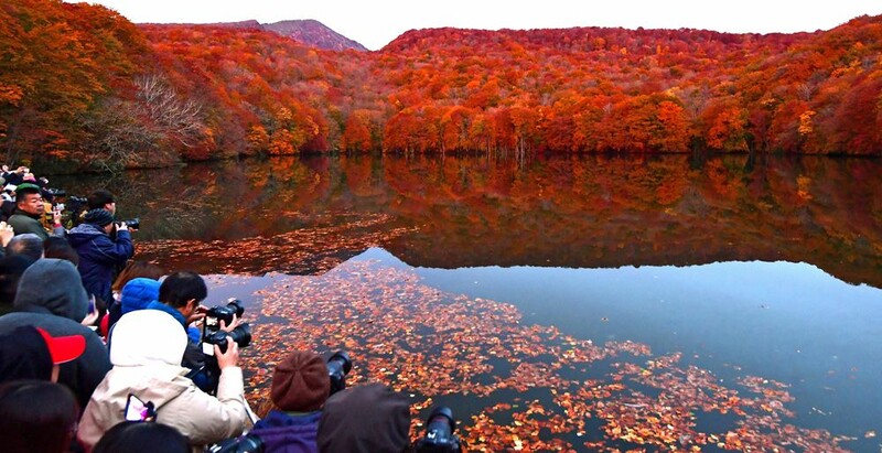 朝焼けの紅葉 水鏡を照らし 十和田 蔦沼 なびたび北東北