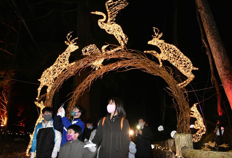 多彩な光 十和田湖畔に魅力 冬物語 開幕 なびたび北東北 多彩な光 十和田湖畔に魅力 冬物語 開幕 なびたび北東北